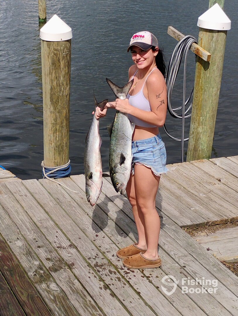 Albemarle Sound Report Photo 0