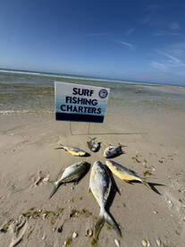Santa Rosa Beach Report Photo 2