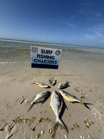 30a Report Photo 2