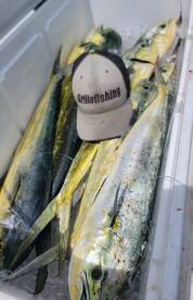 San Juan Report Photo 2