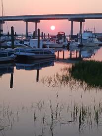 Hilton Head Island Report Photo 1