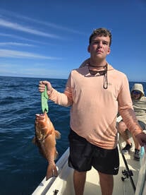 Florida Report Photo 2