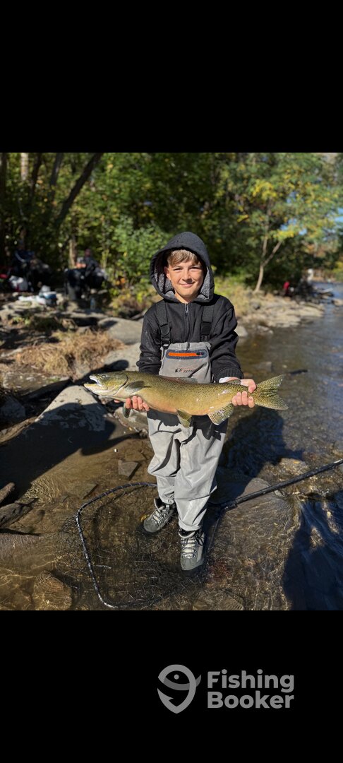 Richland Report Photo 0