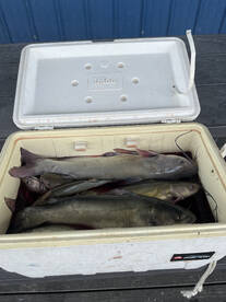 Brenham Report Photo 2