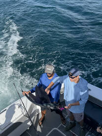 Salifish are back!