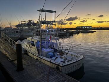 Sandys Report Photo 4