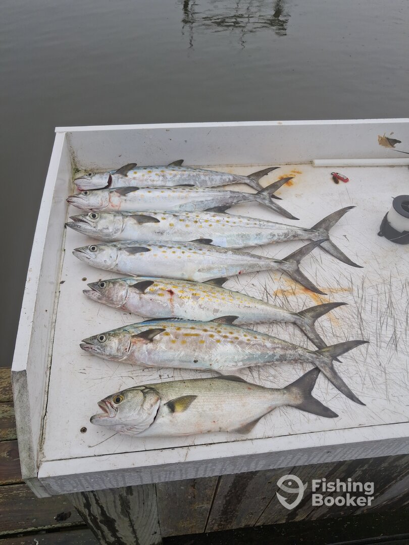 Onslow County Report Photo 0
