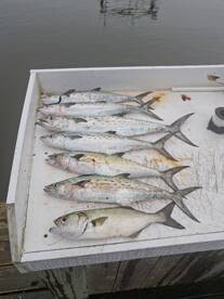Carteret County Report Photo 2