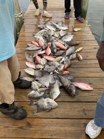 Bogue Sound Report Photo 2