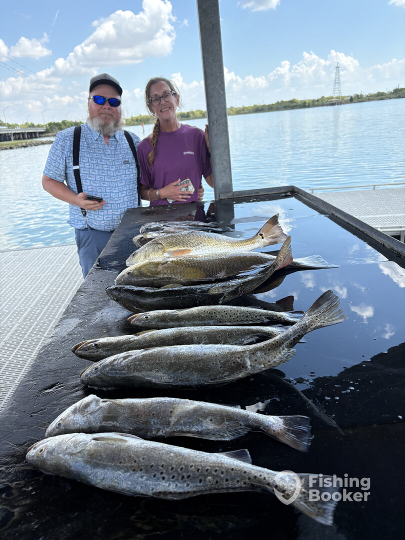Galveston Report Photo 0