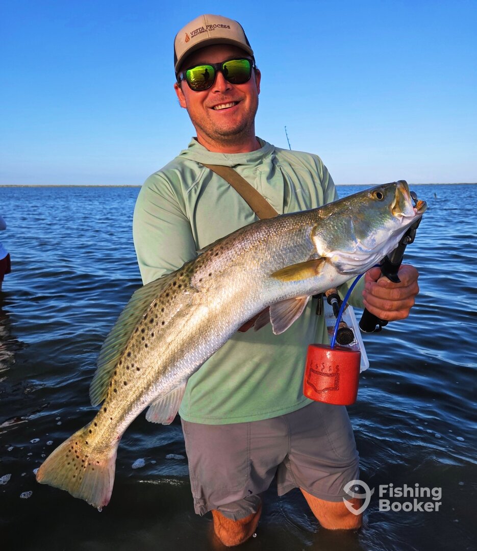Port Aransas Report Photo 0