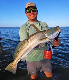 Large numbers of BIG Speckled Trout 