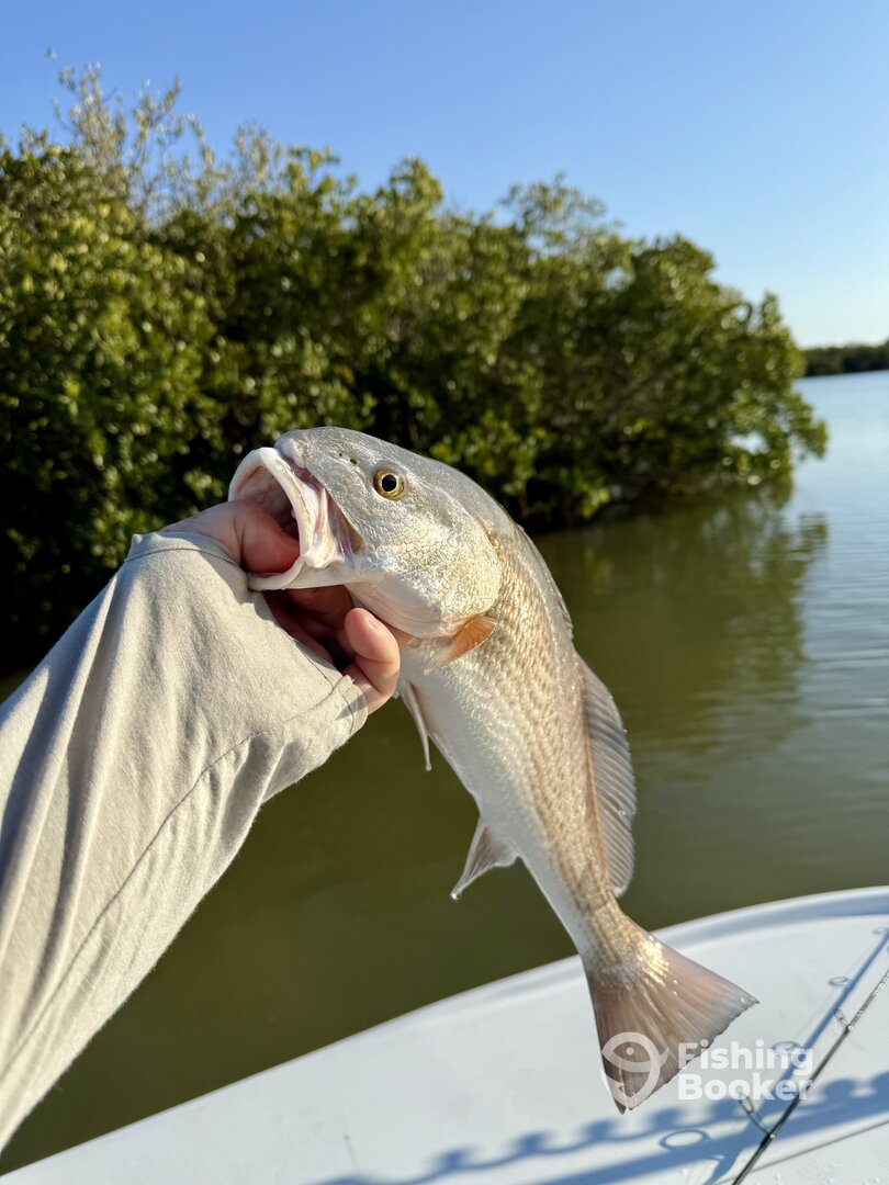 Clearwater Report Photo 0