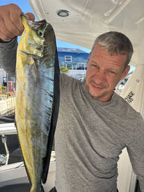 Limassol Report Photo 3