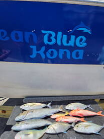 Mix bag sashimi fish 