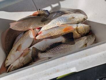 Nueces Bay Report Photo 1