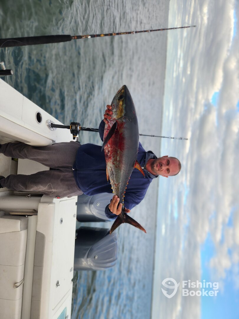 Mastic Report Photo 0