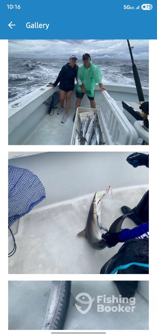 Fort Lauderdale Report Photo 0