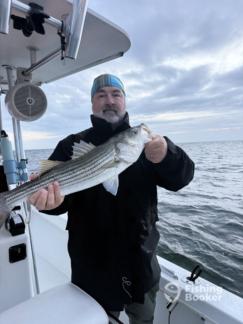 Saint Leonard Report Photo 0