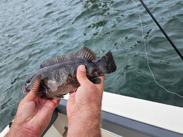 Brick Township Report Photo 4