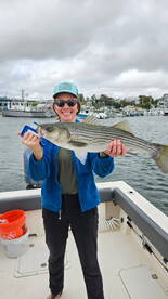 Taug and stripers
