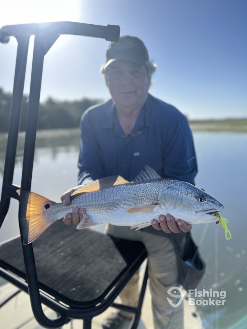 Savannah Report Photo 0