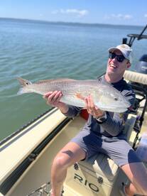 Savannah Report Photo 2