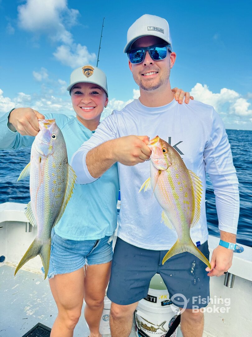 Yellowtail snapper