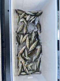 Oak Harbor Report Photo 3