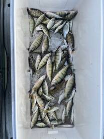 Oak Harbor Report Photo 2