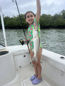 Marco Island Report Photo 1