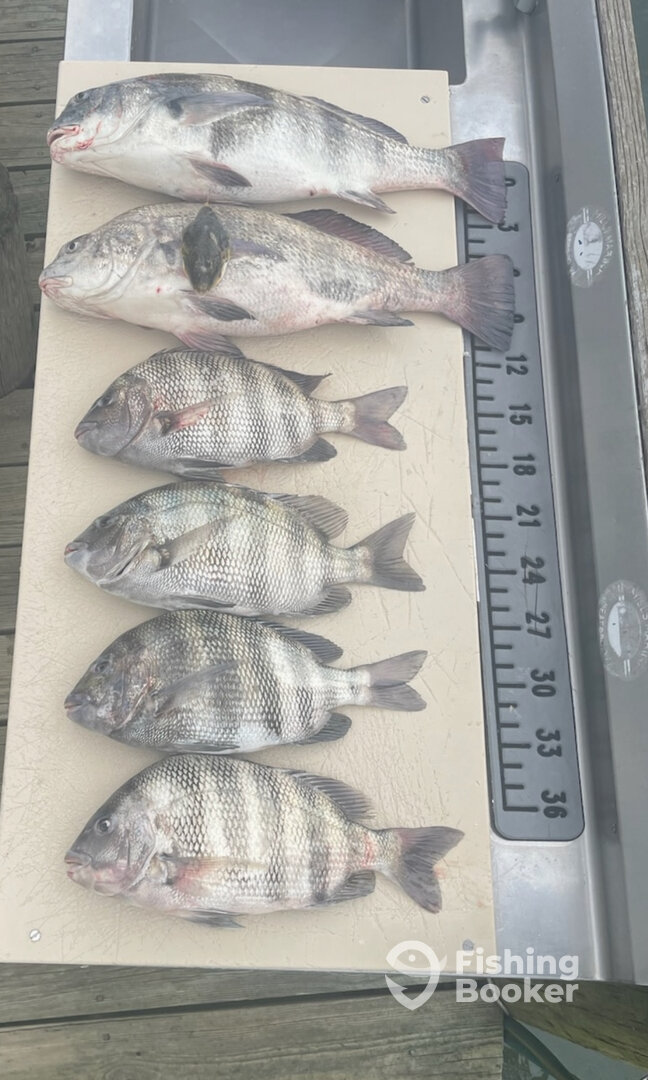 Virginia Report Photo 0