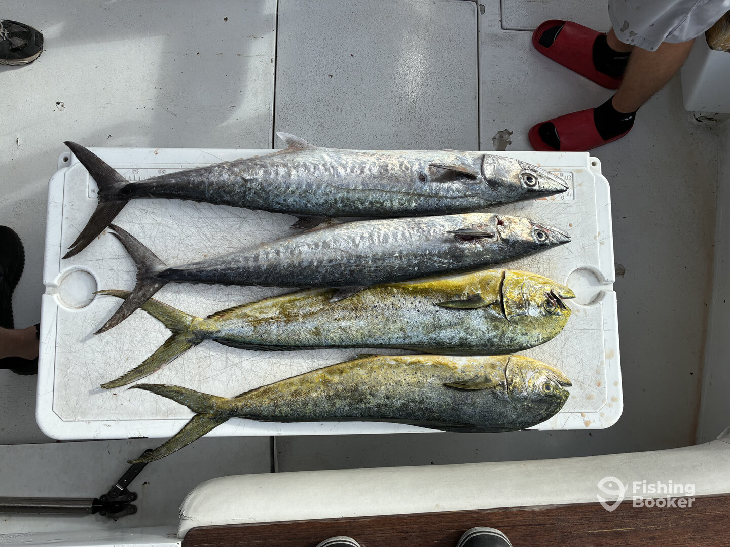 Pompano Beach Report Photo 0