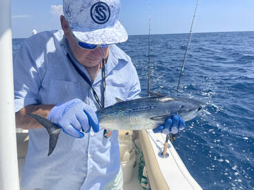 Upper Keys Report Photo 3