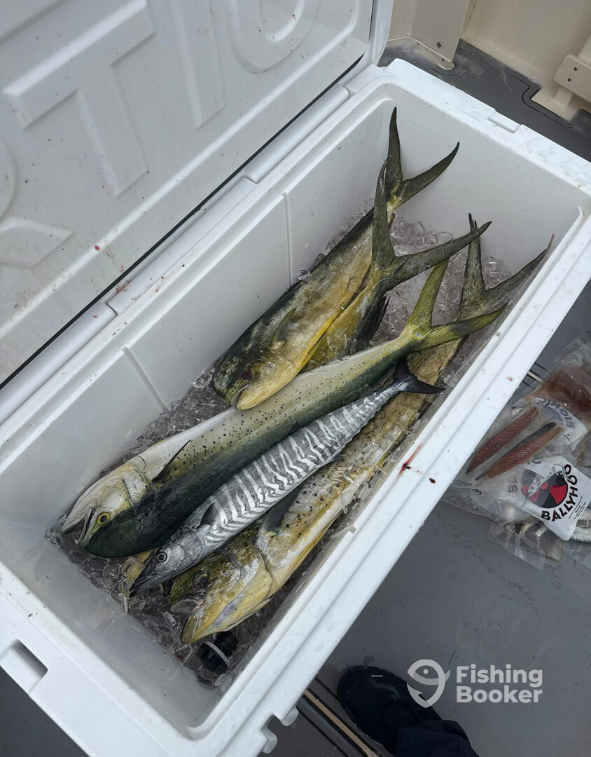 Pompano Beach Report Photo 0