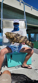 Big grouper on live Pins