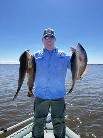 Spoon fed reds