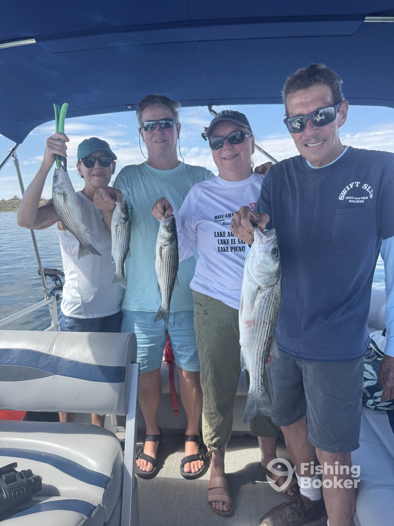 Lake Havasu City Report Photo 0