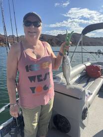 Lake Havasu City Report Photo 1
