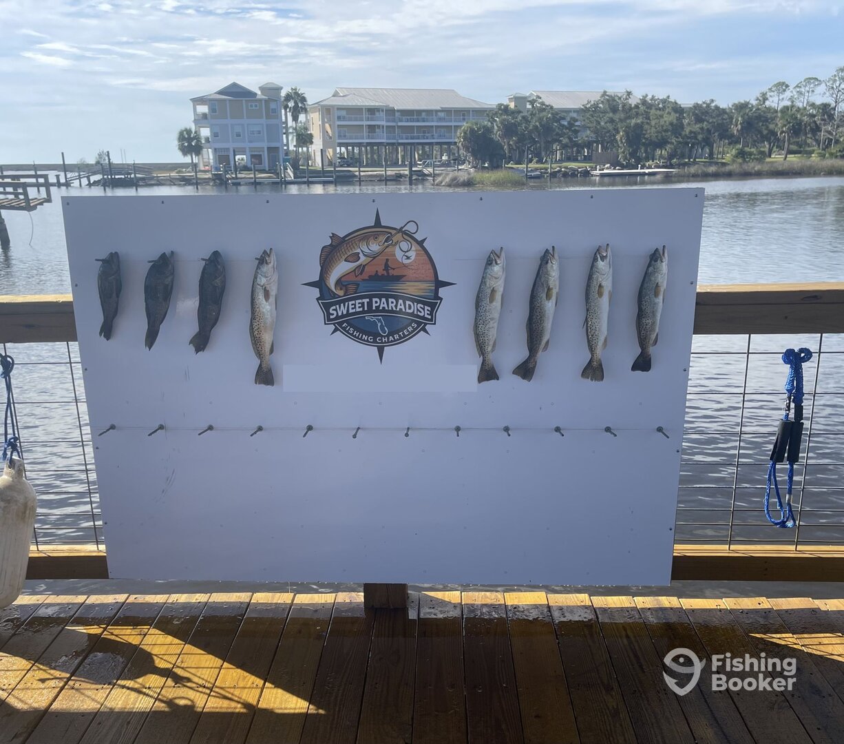 Steinhatchee Report Photo 0