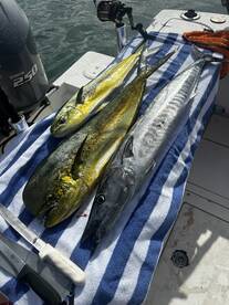 Fajardo Report Photo 2