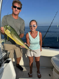 Mahi on the move!