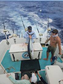 Haleiwa Report Photo 2