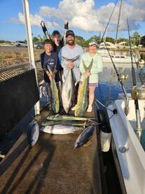 Haleiwa Report Photo 1