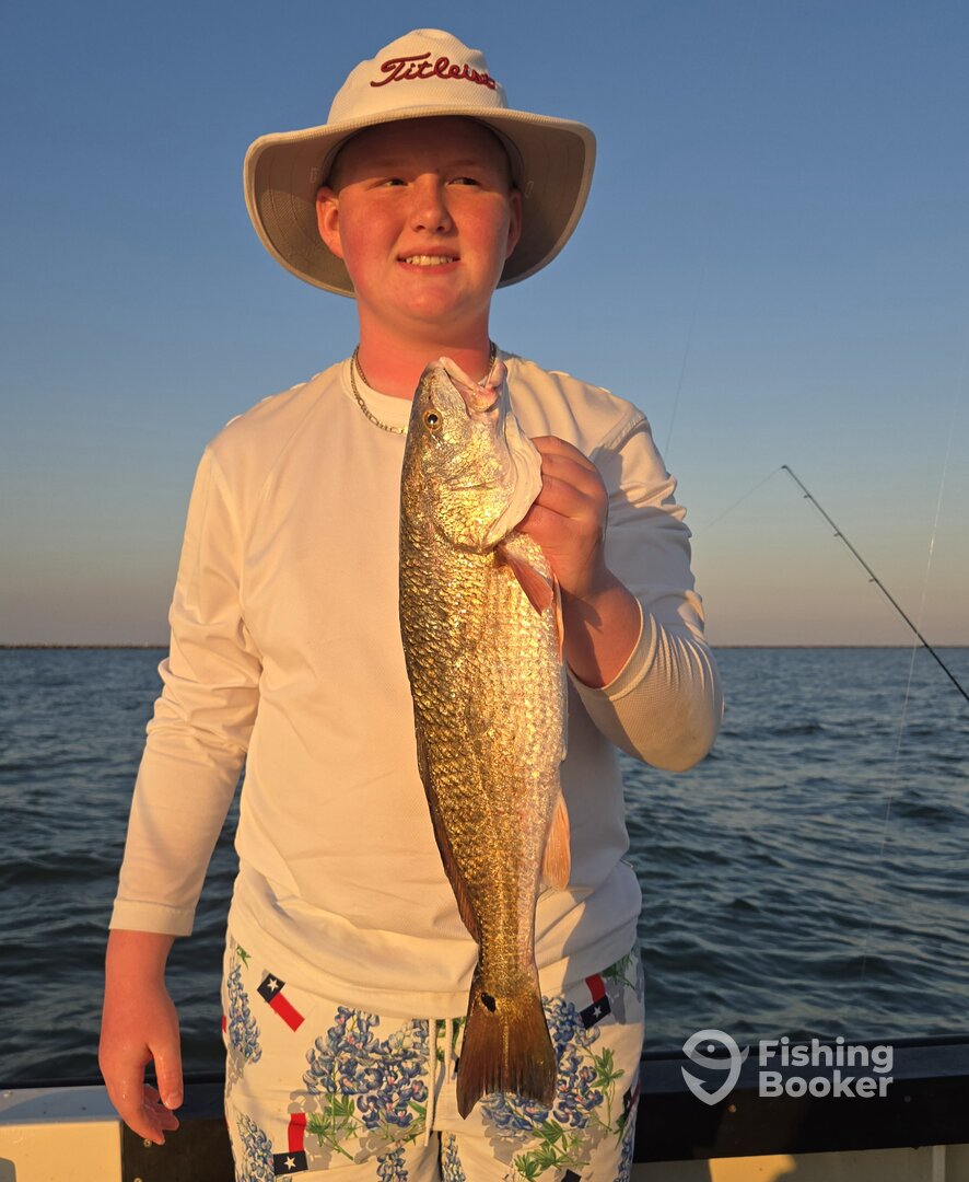 Galveston Report Photo 0