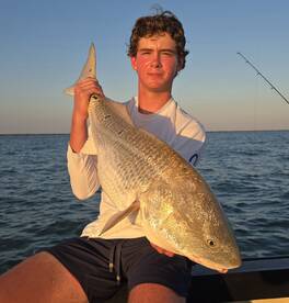 Galveston Report Photo 1