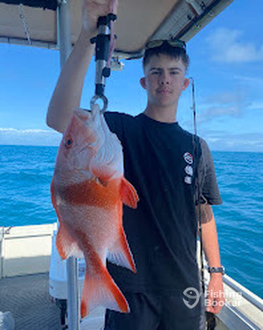 Port Douglas Report Photo 0