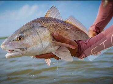 Tight lines and happy customers.