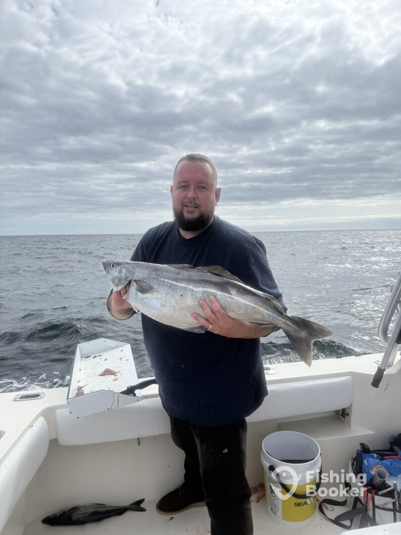 Boston Harbor Report Photo 0