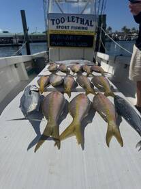 Lower Keys Report Photo 4